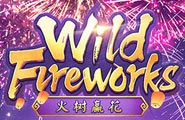 WildFireworks